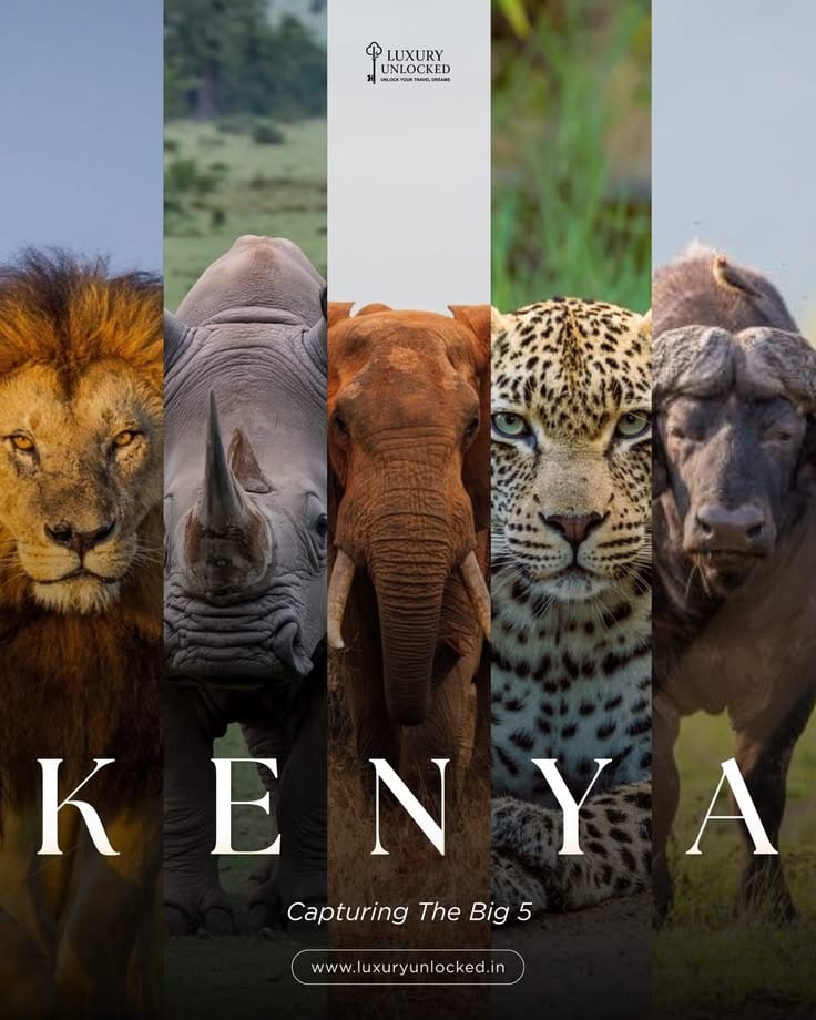 Big Five safari artwork